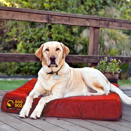 Orthopeadic Dog Bed Slab + Memory Foam Topped - Various Colours & Sizes